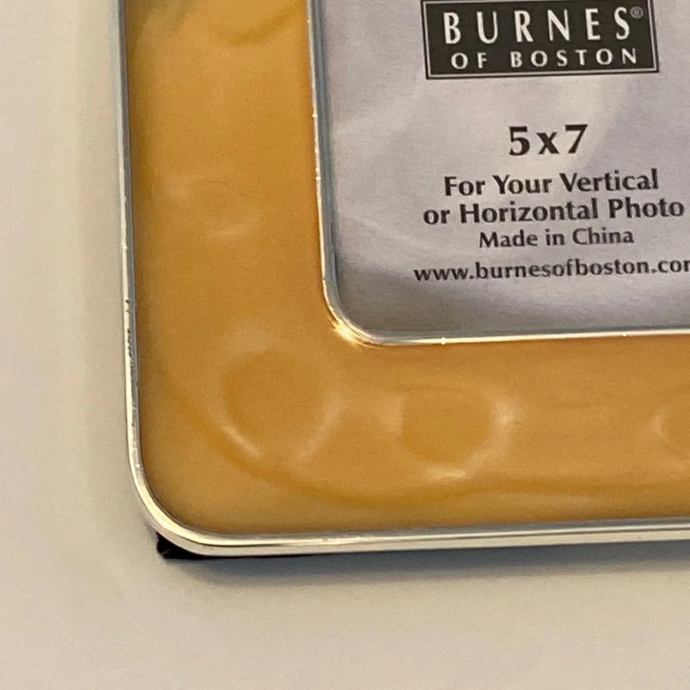 NWT Burnes of Boston 5 x 7 Mother of Pearl Look Frame